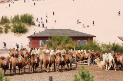 赤峰穿沙車隊(duì)電話號碼查詢