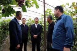 赤峰閆立強診所地址電話號碼