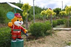 赤峰安裝機(jī)器人電話號(hào)碼