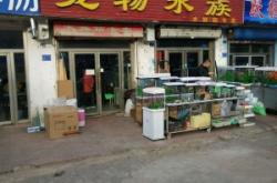 赤峰寵物專賣店地址電話號碼