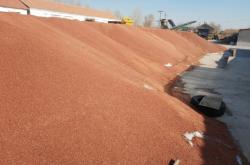 赤峰高粱經(jīng)銷商電話號(hào)碼