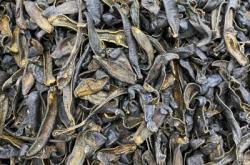 赤峰水蛭收購電話多少啊