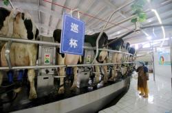 赤峰奶制品購物電話號(hào)碼查詢