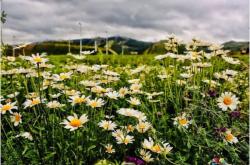 赤峰富龍?zhí)烊粴饪头娫捥?hào)碼