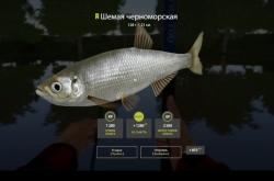 赤峰百果園釣魚地點(diǎn)電話號(hào)碼