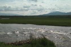 赤峰右旗博遠(yuǎn)物流電話號(hào)碼