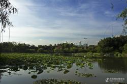 赤峰荷塘盛宴婚宴電話號碼查詢