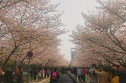 赤峰和美網(wǎng)球場電話地址查詢