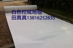 赤峰拉絨地毯批發(fā)電話號(hào)碼