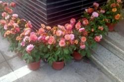 赤峰小區(qū)瑩盈超市電話號(hào)碼