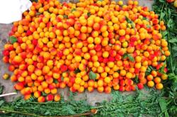 赤峰新城買菜電話多少啊