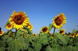 赤峰紅山區(qū)水利社區(qū)電話號(hào)碼