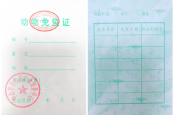 赤峰市狂犬疫苗接種電話號(hào)碼