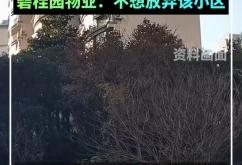 赤峰碧桂園物業(yè)怎么樣