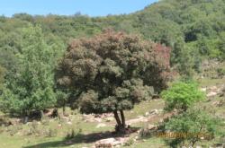 赤峰徒步主播招聘電話號碼