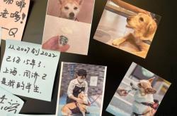 赤峰狗狗造型培訓班電話號碼