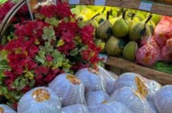 赤峰路地鐵站團(tuán)購電話號(hào)碼