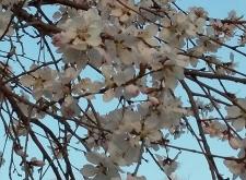 赤峰紅山區(qū)回族小學(xué)電話號(hào)碼