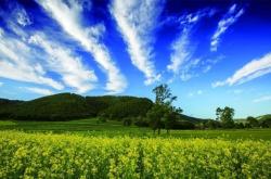 包頭到赤峰的拼車電話號(hào)碼