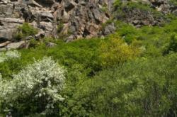 赤峰林西銅都酒店電話號碼