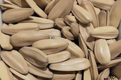 赤峰干果批發(fā)市場電話號碼