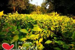 赤峰清心茶莊在哪里啊電話號碼