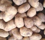 赤峰安心媽媽超市電話地址查詢