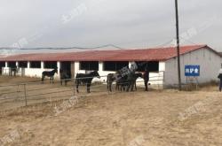 赤峰收水井廠家直銷電話號碼