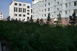 赤峰農(nóng)村孤兒院電話查詢號(hào)碼