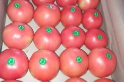 赤峰寧城貼紙廠電話多少號(hào)