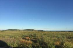 赤峰市收毛驢電話地址查詢