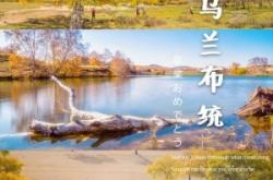 赤峰市油畫代理公司電話號碼