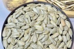 赤峰香腸派對(duì)電話多少啊