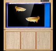 赤峰魚缸平臺招聘電話是多少號