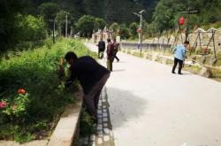 赤峰榆樹辣椒種植基地電話號碼