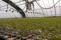 赤峰沙坨子市場(chǎng)地址電話號(hào)碼