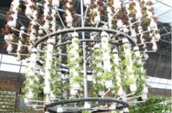 赤峰水培鮮花基地電話號(hào)碼