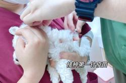 赤峰接種第二針疫苗電話(huà)號(hào)碼