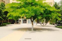 赤峰二中后勤主任電話號碼