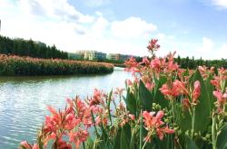 赤峰興虹水族館電話(huà)號(hào)碼