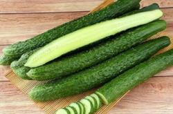 赤峰雨潤蔬菜代銷商電話號碼