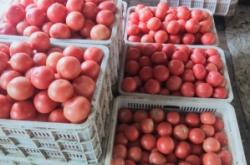 赤峰大城子疫情防控電話號碼