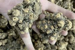 赤峰市中藥館電話號(hào)碼