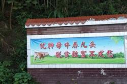 赤峰養(yǎng)牛場聯(lián)系電話