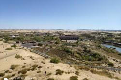 內(nèi)蒙赤峰翁牛特旗信鴿協(xié)會(huì)