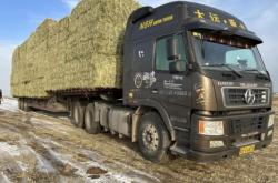 赤峰燕麥銷售電話號碼查詢是多少