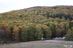 赤峰樹林服裝廠電話地址查詢