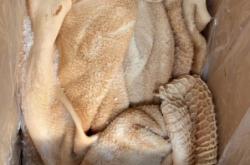 赤峰半成品供應商電話號碼