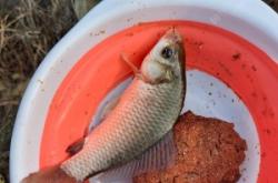 赤峰魚(yú)樂(lè)圈垂釣中心電話號(hào)碼