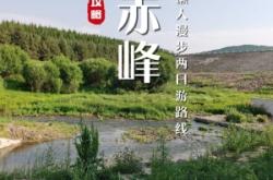 赤峰龍尊會館電話號碼查詢